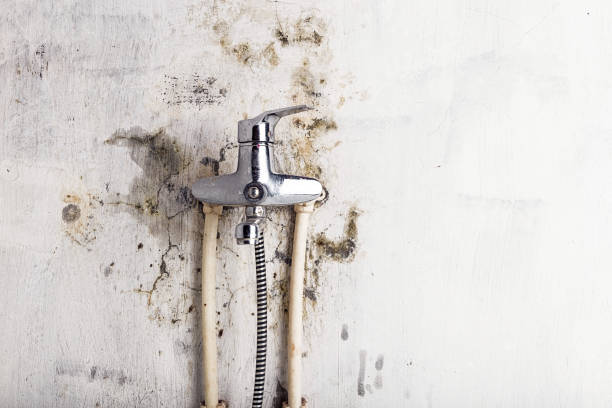 Best Water Damage Restoration  in La Habra Heights, CA