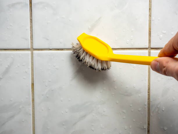 Best Attic Mold Removal  in La Habra Heights, CA