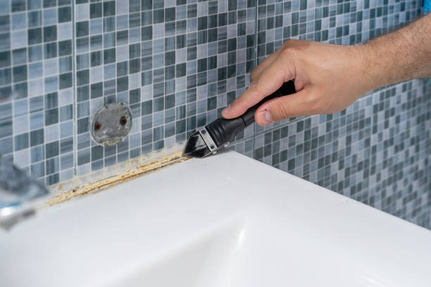 Best Mold Testing  in La Habra Heights, CA